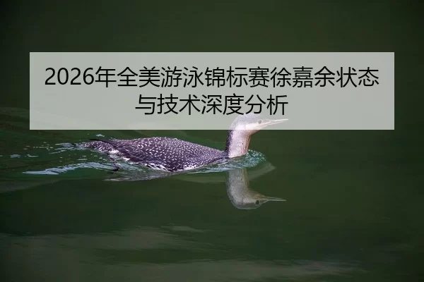 2026年全美游泳锦标赛徐嘉余状态与技术深度分析