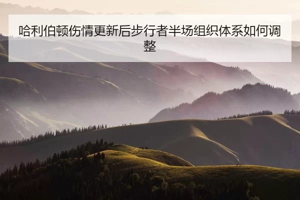 ha-li-bo-dun-shang-qing-geng-xin-hou-bu-xing-zhe-ban-chang-zu-zhi-ti-xi-ru-he-tiao-zheng-2-537.jpg