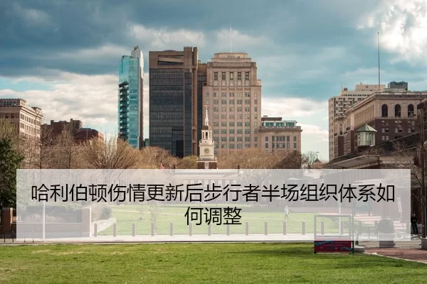 哈利伯顿伤情更新后步行者半场组织体系如何调整