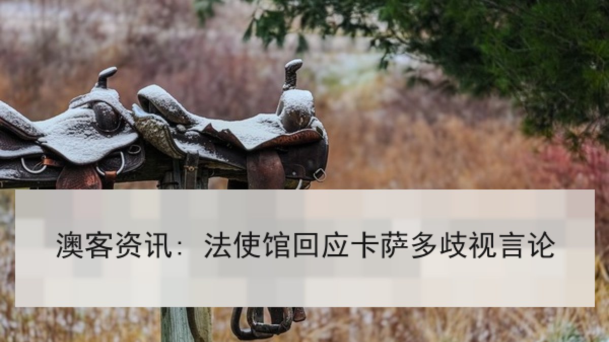 澳客资讯: 法使馆回应卡萨多歧视言论