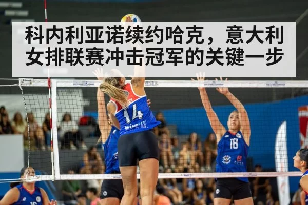 volleyball match action