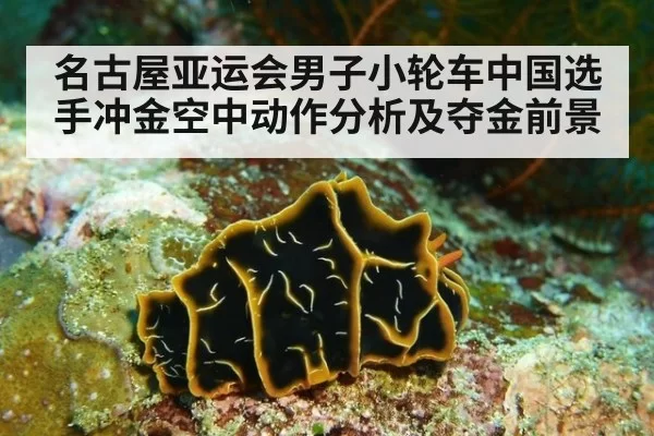 名古屋亚运会男子小轮车中国选手冲金空中动作分析及夺金前景